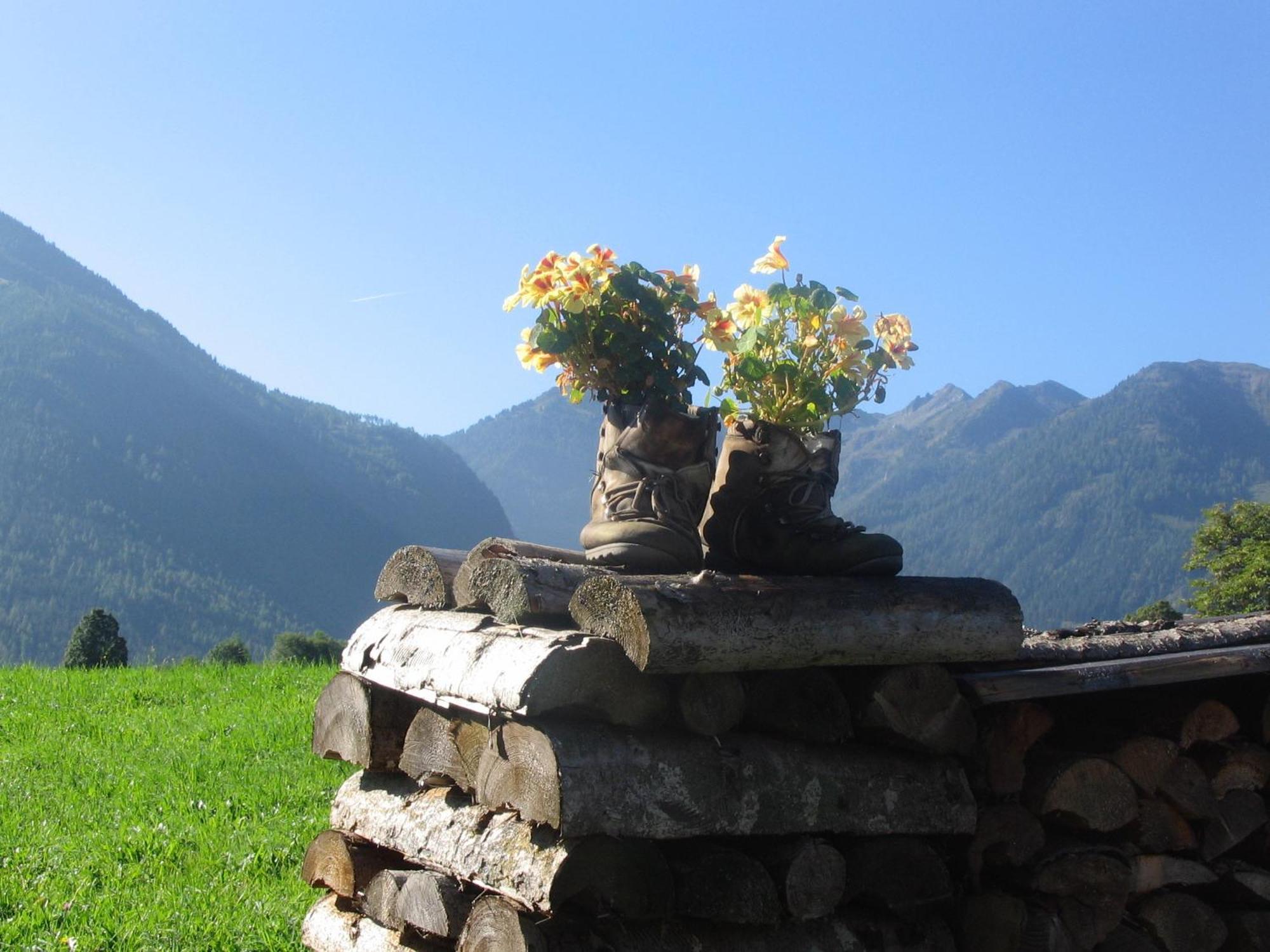 Landhaus Steiner Шладминг Экстерьер фото